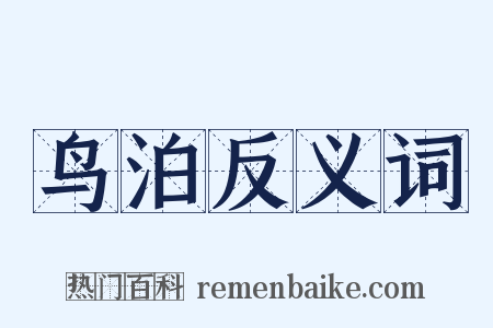 鸟泊反义词是什么意思的图片